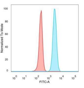 Flow cytometric analysis of PFA fixed HeLa cells using Anti-SMNDC1 Antibody [PCRP-SMNDC1-1A9] followed by Goat Anti-Mouse IgG (CF&#174; 488) (Blue). Unstained cells (red)