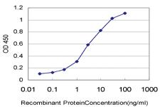 Anti-ARMCX3 Mouse Monoclonal Antibody [clone: 2G3]