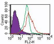 Anti-TLR7 Rabbit Polyclonal Antibody