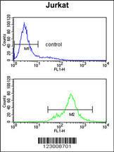 Anti-SPRED1 Rabbit Polyclonal Antibody (AP (Alkaline Phosphatase))