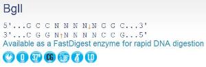 FERMER0072 - ENZYME BGLI 5X2000 UNITS