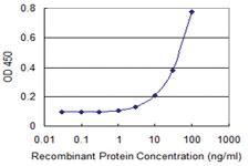 Anti-TBX21 Mouse Monoclonal Antibody [clone: 4F8]