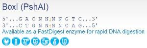 FERMER1431 - ENZYME BOXI 500 UNITS