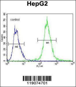 Anti-PALB2 Rabbit Polyclonal Antibody