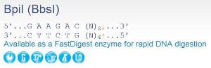 FERMER1011 - ENZYME BPII 200 UNITS