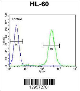 Anti-RINL Rabbit Polyclonal Antibody (Biotin)