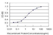 Anti-MTF1 Mouse Monoclonal Antibody [clone: 2C12]