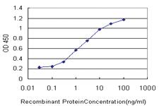 Anti-MTF1 Mouse Monoclonal Antibody [clone: 3G12]