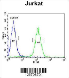 Anti-AXIN2 Rabbit Polyclonal Antibody (AP (Alkaline Phosphatase))