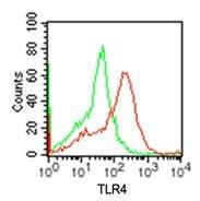 Anti-TLR4 Rabbit Polyclonal Antibody