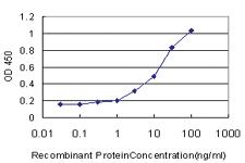 Anti-AZIN1 Mouse Monoclonal Antibody [clone: 8B9]