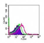 Anti-TLR4 Rat Monoclonal Antibody (PE (Phycoerythrin)) [clone: MTS510]