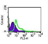 Anti-TLR4 Rat Monoclonal Antibody (PE (Phycoerythrin)) [clone: MTS510]