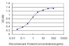 Anti-CARD16 Mouse Monoclonal Antibody [clone: 3E10]