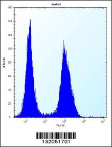 Anti-ASS1 Rabbit Polyclonal Antibody (HRP (Horseradish Peroxidase))