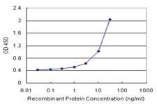 Anti-S100 A13 Polyclonal Antibody Pair