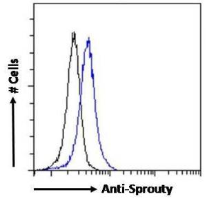 Anti-SPRY1 Antibody (A83695) Flow cytometric analysis of paraformaldehyde fixed HEK293 cells (blue line), permeabilized with 0.5% Triton. Primary incubation 1hr (10µg/ml) followed by Alexa Fluor 488 secondary antibody (0.4µg/ml).