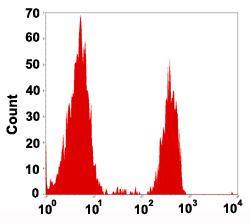 Anti-CD4 Mouse Monoclonal Antibody [clone: 4AT4]