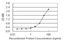 Anti-HDAC3 Mouse Monoclonal Antibody (Biotin)