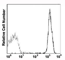 Anti-CD9 Mouse Monoclonal Antibody [clone: HI9a]