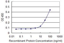 Anti-GLRA1 Mouse Monoclonal Antibody [clone: 2E6]