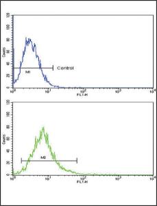 Anti-ATF6 Rabbit Polyclonal Antibody (APC (Allophycocyanin))