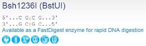 FERMER0922 - ENZYME BSH1236I 250 UNITS