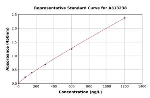 Representative standard curve for mouse GluN2C ELISA kit (A313238)