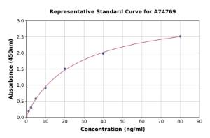 Representative standard curve for Mouse DNase I ELISA kit (A74769)