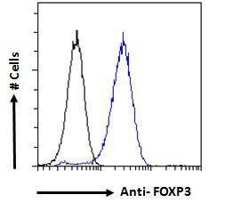 Antibody anti-FOXP3 A83700-100 100 µg