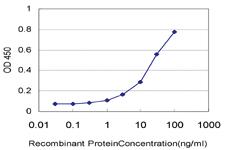 Anti-CACYBP Mouse Monoclonal Antibody [clone: 2E3]