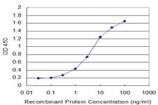 Anti-GLRA1 Mouse Monoclonal Antibody [clone: 3G8]