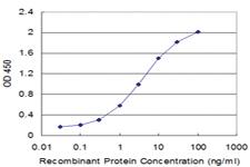 Anti-GLRA1 Mouse Monoclonal Antibody [clone: 4D6]