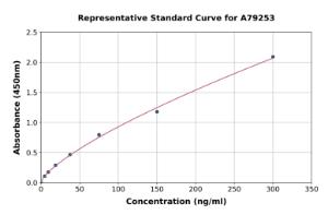 Representative standard curve for Rat Cyclophilin A ELISA kit (A79253)