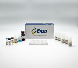 cGMP complete ELISA kit