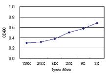 Anti-VRK1 Antibody Pair