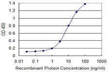 Anti-ATF1 Mouse Monoclonal Antibody [clone: 3E7]