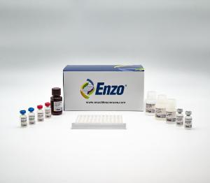 Serotonin ELISA kit