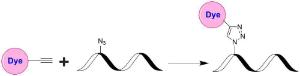 Image for Tide Fluor™ 8WS alkyne [TF8WS alkyne] *Near Infrared Emission*