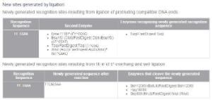 FERMER0121 - ENZYME BSP119I 2500 UNITS