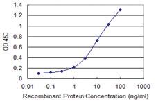 Anti-CACYBP Mouse Monoclonal Antibody [clone: 2E3]