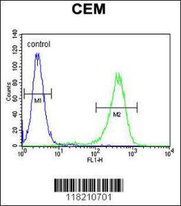 Anti-NOS2 Rabbit Polyclonal Antibody