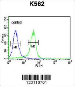 Anti-KDM4B Rabbit Polyclonal Antibody (AP (Alkaline Phosphatase))