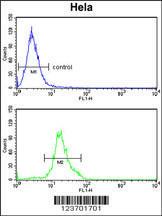 Anti-DOLK Rabbit Polyclonal Antibody (Biotin)