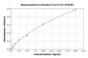 Representative standard curve for Rat PAI1 ELISA kit (A78781)