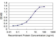 Anti-GSC Mouse Monoclonal Antibody [clone: 4B9]