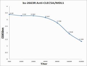 Anti-CLEC5A Rabbit Polyclonal Antibody