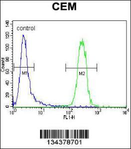 Anti-POLG Rabbit Polyclonal Antibody (APC (Allophycocyanin))