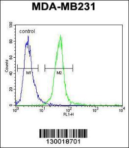 Anti-MYOZ1 Rabbit Polyclonal Antibody (Biotin)