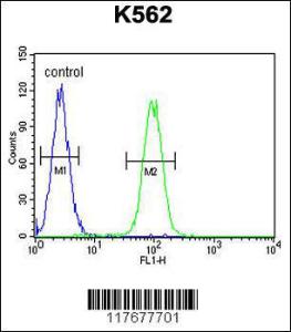 Anti-DDX11 Rabbit Polyclonal Antibody (FITC (Fluorescein Isothiocyanate))